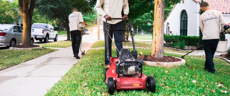 Denmark Professionals Mowing And Edging Lawn