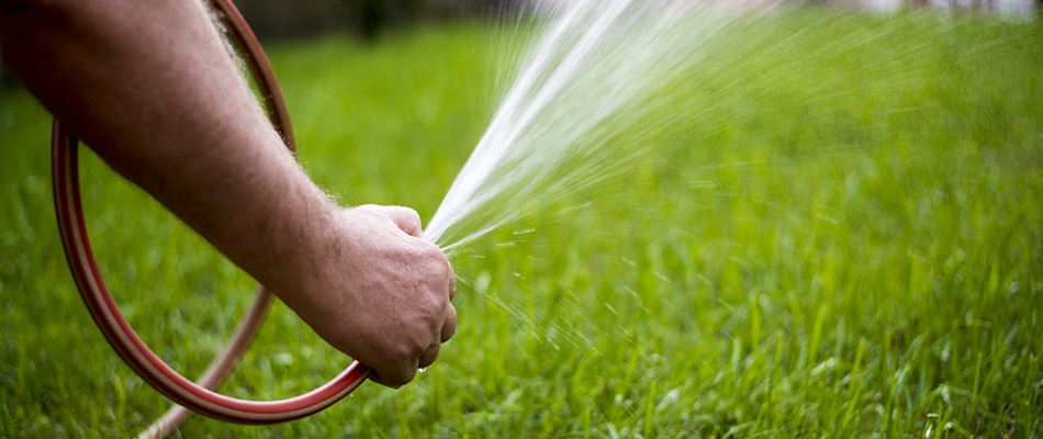 Homeowner Watering New Sod