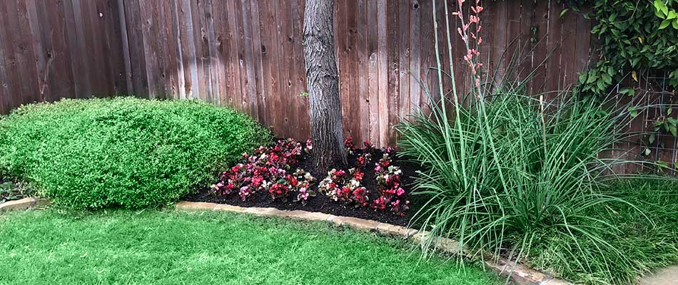 Landscape Bed With Bushes And Flowers