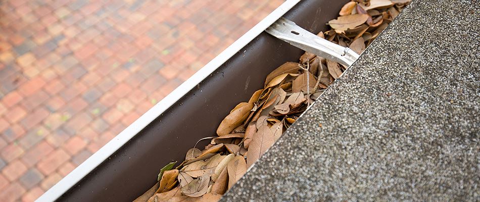 Leaves In Gutter