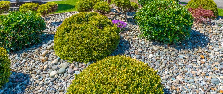 Rock Landscape Bed