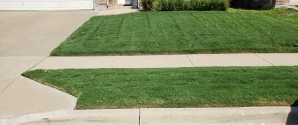 Fertilized lawn in Saginaw, TX.