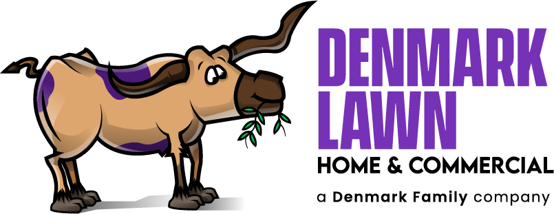Denmark Lawn Care and Landscaping
